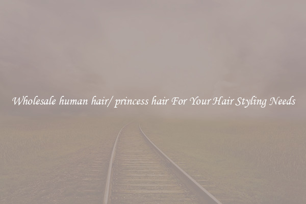 Wholesale human hair/ princess hair For Your Hair Styling Needs