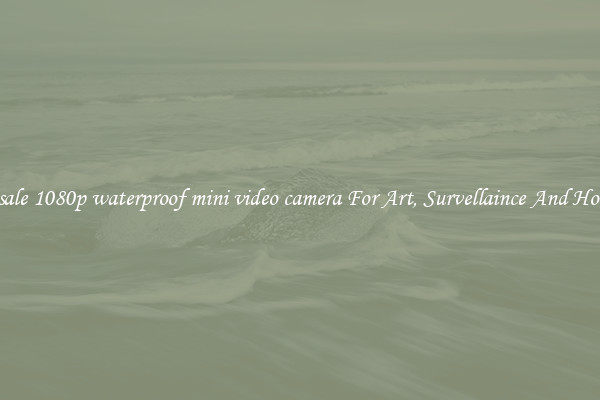 Wholesale 1080p waterproof mini video camera For Art, Survellaince And Home Use