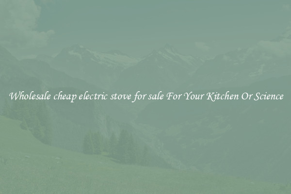Wholesale cheap electric stove for sale For Your Kitchen Or Science