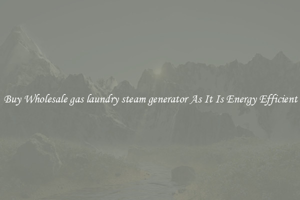 Buy Wholesale gas laundry steam generator As It Is Energy Efficient
