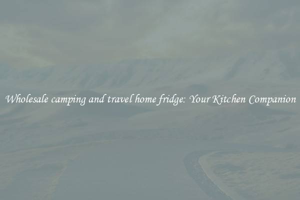 Wholesale camping and travel home fridge: Your Kitchen Companion