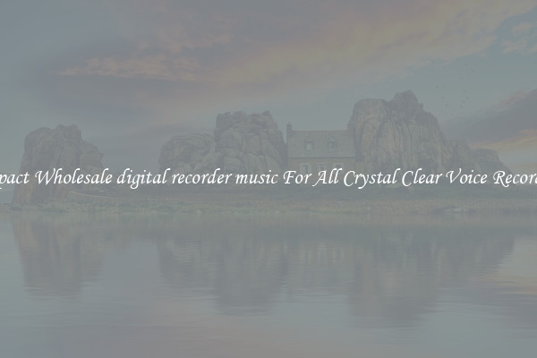 Compact Wholesale digital recorder music For All Crystal Clear Voice Recordings