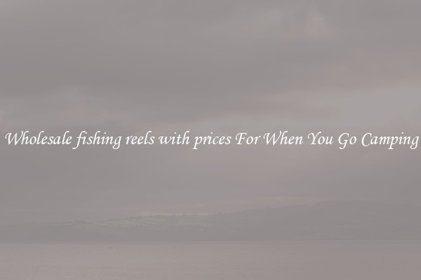Wholesale fishing reels with prices For When You Go Camping