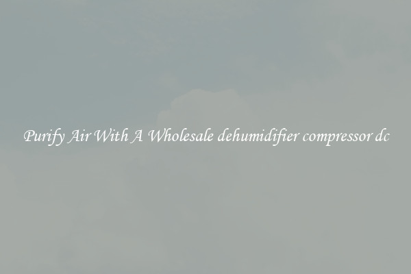 Purify Air With A Wholesale dehumidifier compressor dc