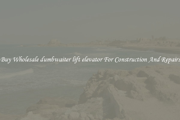 Buy Wholesale dumbwaiter lift elevator For Construction And Repairs