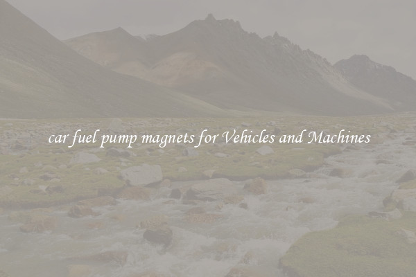 car fuel pump magnets for Vehicles and Machines