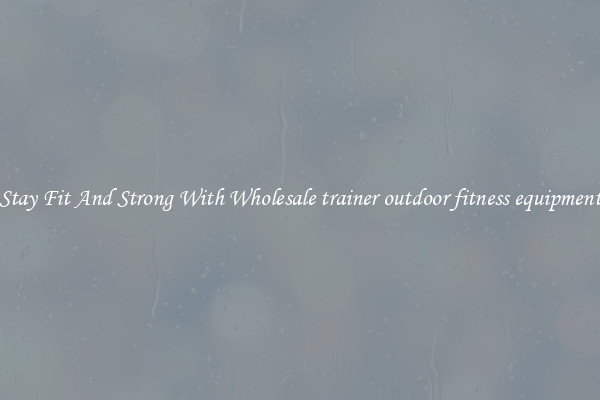 Stay Fit And Strong With Wholesale trainer outdoor fitness equipment