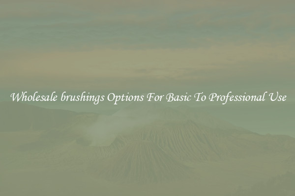 Wholesale brushings Options For Basic To Professional Use