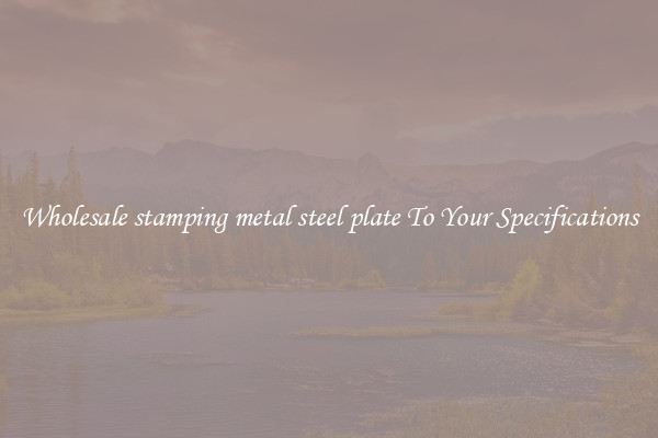 Wholesale stamping metal steel plate To Your Specifications