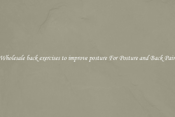Wholesale back exercises to improve posture For Posture and Back Pain