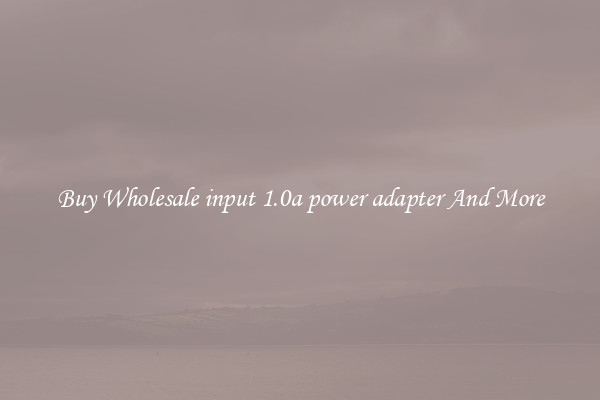 Buy Wholesale input 1.0a power adapter And More
