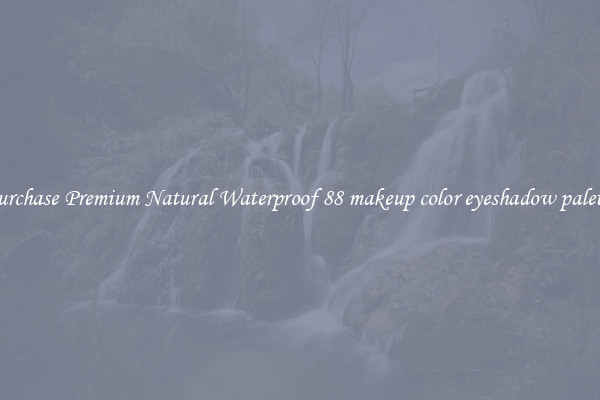 Purchase Premium Natural Waterproof 88 makeup color eyeshadow palette