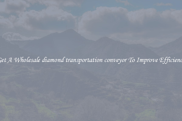 Get A Wholesale diamond transportation conveyor To Improve Efficiency